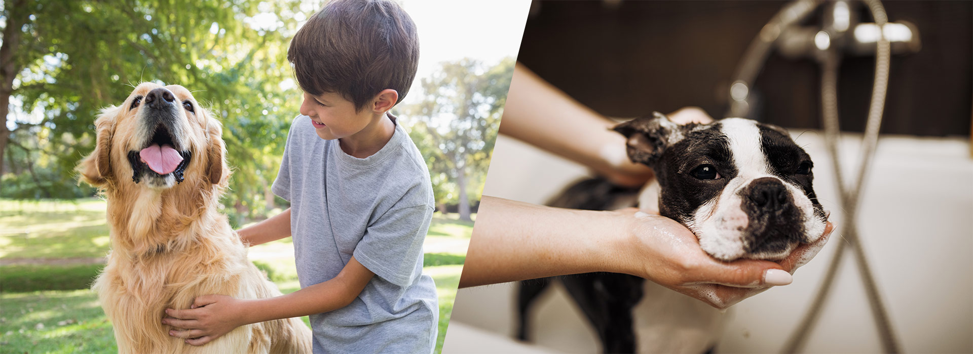 業務用ドライヤー