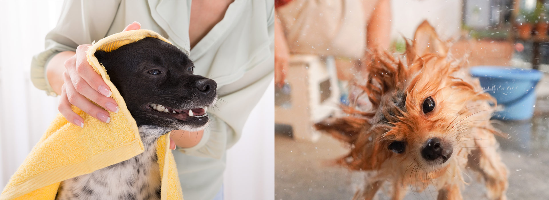 ペット用ドライヤー